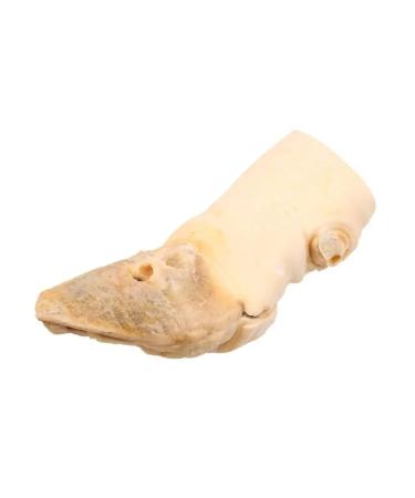 TiTBiT Dog treating a foot beef with a hoof cut - Buy Online on GoSupps.com