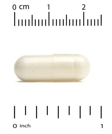 California Gold Nutrition CGN concentrated colostrum (colostrum) 240 kap - Buy Online on GoSupps.com