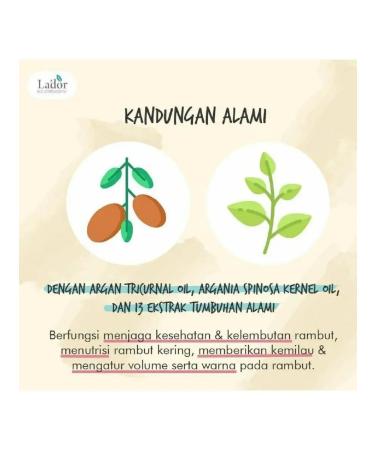 FOR YOU Lador Damage Protector Acid shampoo for dyed hair - Buy Online on GoSupps.com