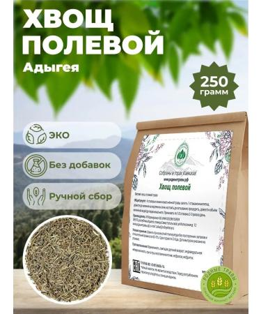 Native herbs Horsetail of field grass dried