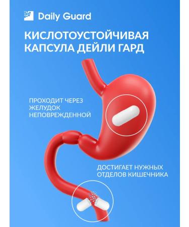 Daily Guard A probiotic for the intestines - Buy Online on GoSupps.com