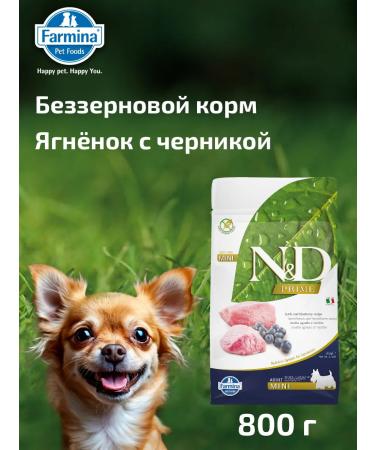 Farmina N & d prime lambs of blueberries Bezernovy D with small rocks 800g