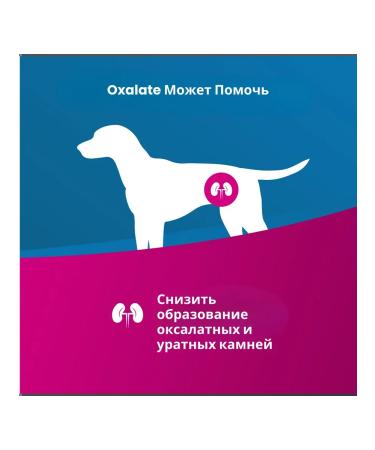 Farmina Vet Life Dog Oksalat 2 kg - Buy Online on GoSupps.com