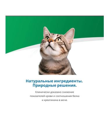 Farmina VET Life Cat Renal with chicken d K to with PN kidney disease 2 kg - Buy Online on GoSupps.com