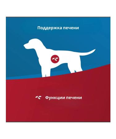 Farmina VET Life Dog Hepatic with dogs for dogs for chronic renal failure 2 kg - Buy Online on GoSupps.com