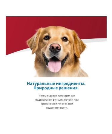 Farmina VET Life Dog Hepatic with dogs for dogs for chronic renal failure 2 kg - Buy Online on GoSupps.com