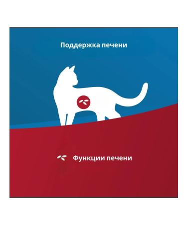 Farmina Vet Life Cat Hepatic with cats for cats with chronic renal failure 400 g - Buy Online on GoSupps.com