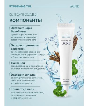 PYUNKANG YUL Acne cream is local - Buy Online on GoSupps.com