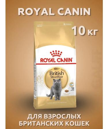 Royal Canin Dry food adult short -haired cats 10 kg