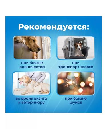 Ceva Adapted a modulator for dogs for dogs diffuser+shift block - Buy Online on GoSupps.com