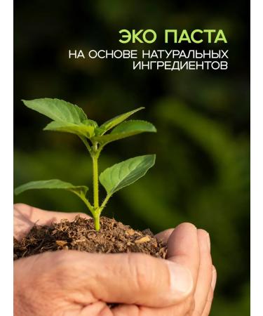 Twin Lotus Co Ltd Natural toothpaste - Buy Online on GoSupps.com