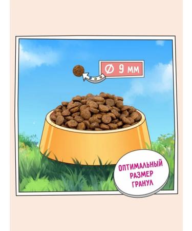 Zillii Feed for dogs dry 2 kg fish - Buy Online on GoSupps.com