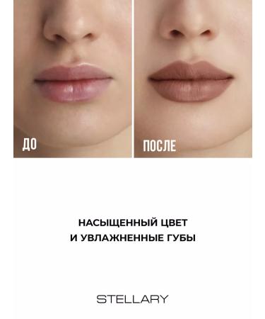 Stellary Lipstick Long Lasting Lipstick tone 15 Bali Brown 3.8g - Buy Online on GoSupps.com