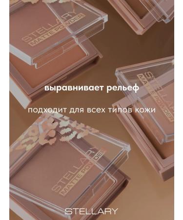 Stellary Facial powder matting compact tone 02 - Buy Online on GoSupps.com