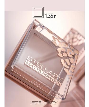 Stellary Facial powder matting compact tone 02 - Buy Online on GoSupps.com