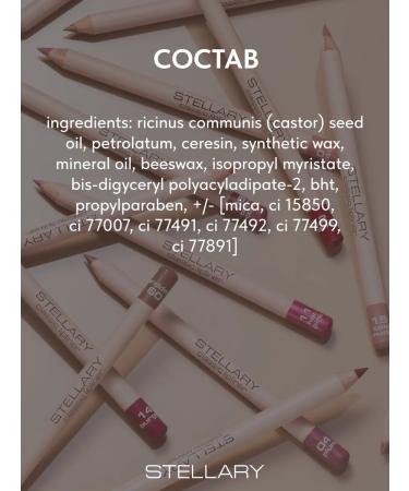 Stellary Lip pencil nude matte lipliner tone 12 - Buy Online on GoSupps.com