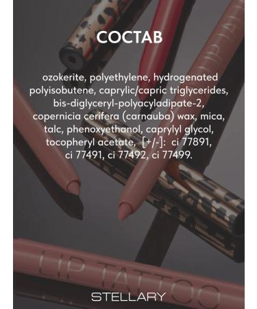 Stellary Lip pencil nude matte automatic tone 06 - Buy Online on GoSupps.com