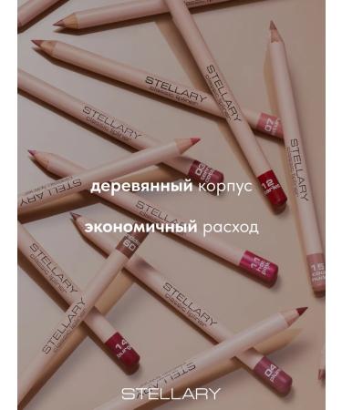 Stellary Lip pencil nude matte lipliner tone 04 - Buy Online on GoSupps.com