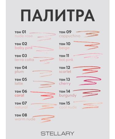 Stellary Lip pencil nude matte lipliner tone 04 - Buy Online on GoSupps.com