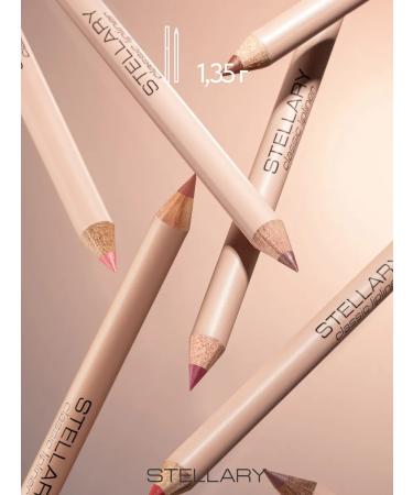 Stellary Lip pencil nude matte lipliner tone 04 - Buy Online on GoSupps.com