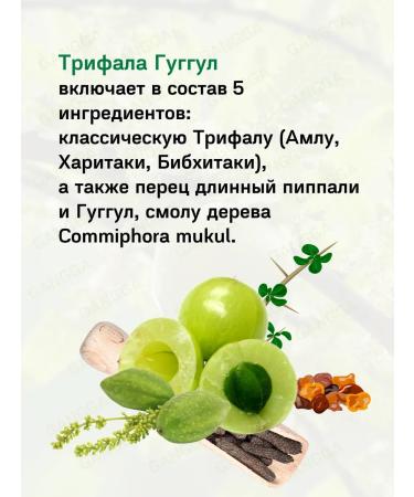 Baidyanath Trifala Guggul Badyanat Triphala Guggulu 3x80t - Buy Online on GoSupps.com