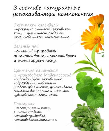 THE SAEM Sunwalling cream for oily skin - Buy Online on GoSupps.com