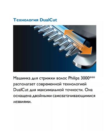 PHILIPS Hair and beard cutting machine HC5610 15 - Buy Online on GoSupps.com