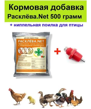 Biopro Premix from a bird of birds chickens "no" + drinker