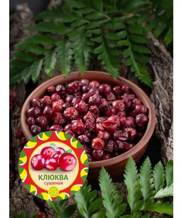 Yasaltaya Altai cranberry "Taga" 30 g. Dried berries without sugar - Buy Online on GoSupps.com
