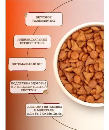 ROYAL CANIN Dry food for cats Savour Exigent 2 kg - Buy Online on GoSupps.com