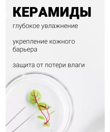 Lebelage Facial cream Dr. Ceramide Cure Cream 70 ml - Buy Online on GoSupps.com