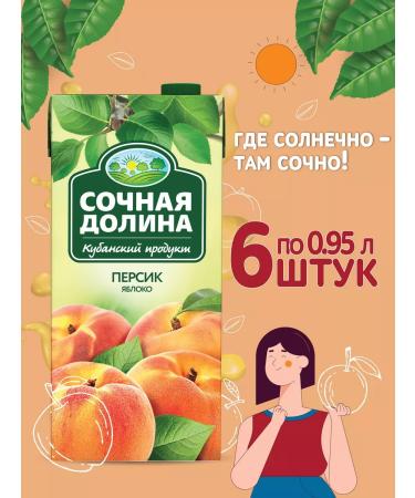 Juicy Valley Persian-apple drink 0.95 l x 6 pcs