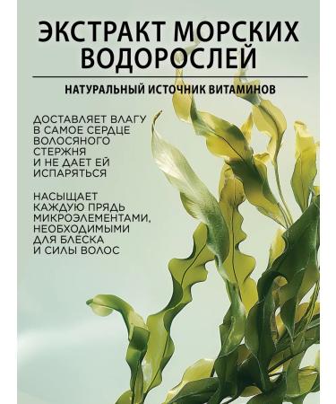 POGONIA Moisturizing shampoo with Meringia 1l - Buy Online on GoSupps.com