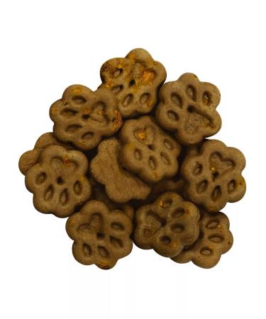 Country delicacies Dog treating cookies with lamb and pumpkin 100 g - Buy Online on GoSupps.com