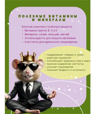 SVIBIK Feed for rats and mice Premium 550g - Buy Online on GoSupps.com