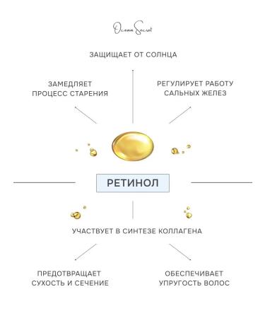 OCEAN SECRET Elite shampoo Saluscular and air conditioning 2 l - Buy Online on GoSupps.com