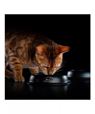 PRO PLAN Cat food for a humid home turkey in jelly 85 g 26 pcs - Buy Online on GoSupps.com