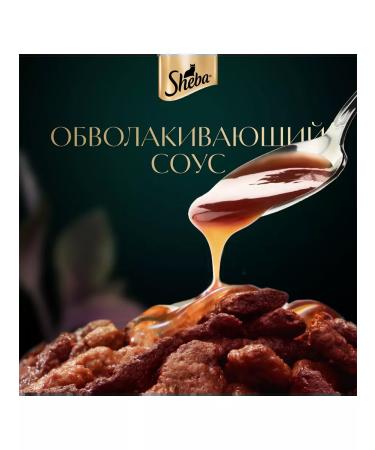 Sheba Cat food for moist beef in sauce 75 g 28 pcs - Buy Online on GoSupps.com