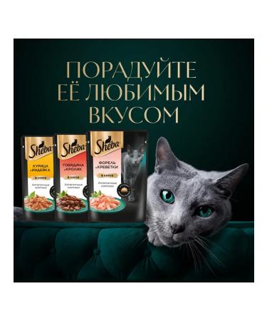 Sheba Cat food for moist trout shrimp in sauce 75 g 28 pcs - Buy Online on GoSupps.com