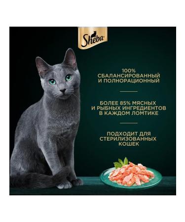 Sheba Cat food for moist trout shrimp in sauce 75 g 28 pcs - Buy Online on GoSupps.com