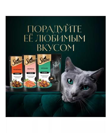 Sheba Cat food for a wet rabbit jelly 75 g 28 pcs - Buy Online on GoSupps.com