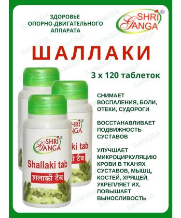 Shri Ganga Shallaki Shaallaki Sri Ganges 3x120 tab