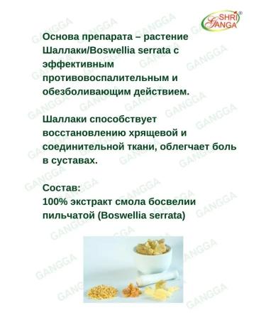 Shri Ganga Shallaki Shaallaki Sri Ganges 3x120 tab - Buy Online on GoSupps.com