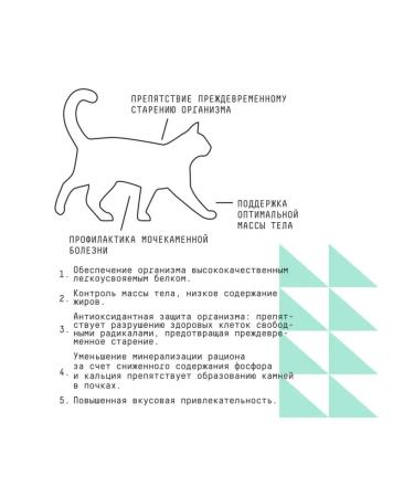 AJO Dry food for sterilized cats chicken 1.5kg - Buy Online on GoSupps.com