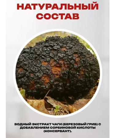 Honey and Jam Chaga. Tea tea 250 ml - Buy Online on GoSupps.com