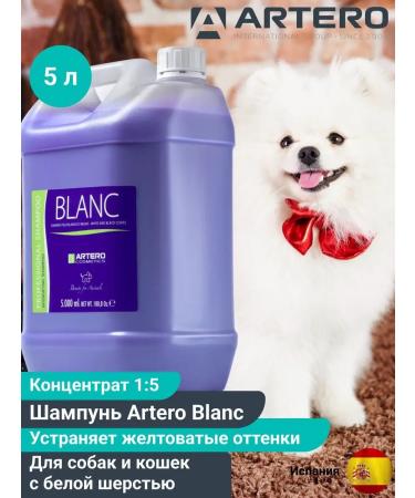 ARTERO Blanc light hair shampoo with light wool