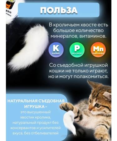 Kisuel Real rabbit tail - a toy for cats and kittens - Buy Online on GoSupps.com