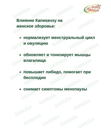 Shri Ganga Kapikachhu Kapikachhu Sri Ganges 2x120 tab - Buy Online on GoSupps.com