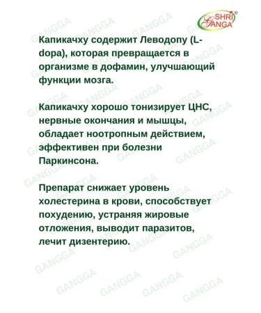 Shri Ganga Kapikachhu Kapikachhu Sri Ganges 2x120 tab - Buy Online on GoSupps.com