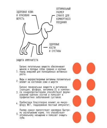 AJO Dry food for puppies and dogs with turkey 2kg - Buy Online on GoSupps.com